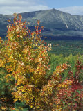 Mt. Katahdin, Appalachian Trail, Maine, USA Reprodukcja zdjęcia autor Jerry & Marcy Monkman Mt. Katahdin, Appalachian Trail, Maine, USA Reprodukcja zdjęcia autor Jerry & Marcy Monkman