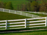 Fences Around Pastures, Shaker Village of Plesant Hill, Kentucky, USA Photographic Print by Adam Jones