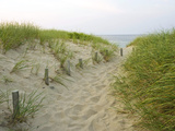 Jerry & Marcy Monkman - Path at Head of the Meadow Beach, Cape Cod National Seashore, Massachusetts, USA - Fotografik Baskı Jerry & Marcy Monkman - Path at Head of the Meadow Beach, Cape Cod National Seashore, Massachusetts, USA - Fotografik Baskı