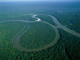 Amazon River, Amazon Jungle, Brazil Photographic Print