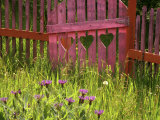 Close-up of a Picket Fence Gate Photographic Print
