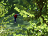Golfers As Seen Through the Trees Photographic Print