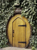 Almaden Vineyard, San Jose, California, USA Photographic Print