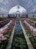 Como Park Conservatory, St. Paul, Minnesota, USA Photographie