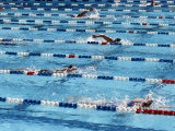 International Swimming Hall of Fame Fort Lauderdale, Florida, USA Photographic Print