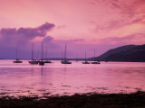 Clifden Bay, Connemara, Ireland Photographic Print