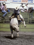 Bull Riding, Utah, USA Photographic Print