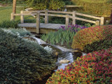 Ladew Topiary Gardens and Manor House, Jacksonville, Maryland Photographic Print