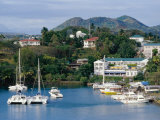 Castries, St. Lucia Photographic Print