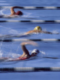 Swimmers Racing Photographic Print
