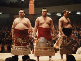 Sumo Wrestler Photographie