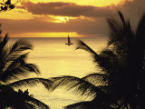 St. Lucia Photographic Print