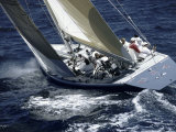 Star and Stripes America's Cup Races Australia Reprodukcja zdjęcia