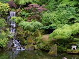 Japanese Gardens Washington Park Portland Oregon, USA Photographic Print