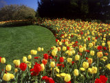 Chicago Botanic Garden, Illinois, USA Photographic Print