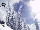 Sugar Bowl, California, USA Photographic Print