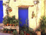La Cadiere D'Azur Provence, France Photographic Print