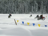 Motorcycle Racing in the Snow Photographic Print