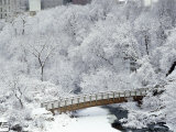 Minneapolis, Minnesota, USA Photographic Print