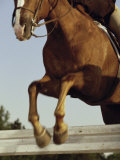 Jockey And a Horse Jumping Over a Hurdle Lámina fotográfica