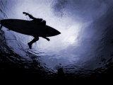 What a Shark Sees Photographie