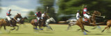 Polo Photographic Print
