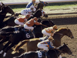 Keeneland Racetrack, Lexington, Kentucky, USA Lámina fotográfica