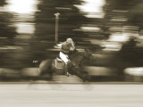 Polo Photographie