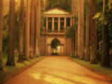 Jardin botanique, Rio de Janeiro, Brésil Photographie