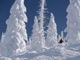 Steamboat Springs, Colorado, USA Photographic Print
