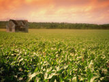 Minnesota, USA Photographic Print
