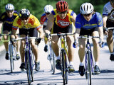 Group of Cyclists Riding Bicycles Photographic Print