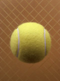 Tennis Ball Against a Racquet Photographic Print