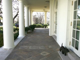 President Bush's Scottish Terrier Miss Beazley Plays on the Colonnade Photographic Print
