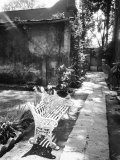 Bench at the Museo Leon Trotsky, Coyoacan, Mexico Photographic Print by Walter Bibikow