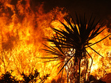 The Sawtooth Complex Fire Burns Near Morongo Valley, Calif. Photographic Print