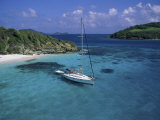 Tobago Crays, the Grenadines Fotografie-Druck