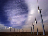 Wind Turbines Photographic Print