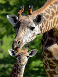 Bridgit and Her 3-Week Old Son Mac Photographic Print