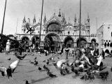People Feed Pigeons at Saint Marks Square Photographic Print