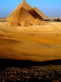 Tourists Ride Horses and Camels at the Historical Site of the Giza Pyramids, Near Cairo, Egypt Reprodukcja zdjęcia Tourists Ride Horses and Camels at the Historical Site of the Giza Pyramids, Near Cairo, Egypt Reprodukcja zdjęcia