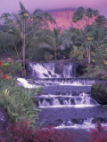 Tabacon Hot Springs, Arenal Volcano, Costa Rica Photographic Print by Nik Wheeler