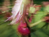 Rio de Janeiro, Brazil Photographic Print