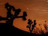 Several Leonids Meteors are Seen Streaking Through the Sky Over Joshua Tree National Park, Calif. Photographic Print