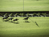 Keeneland Racetrack, Lexington, Kentucky, USA Photographie