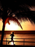A Afternoon Runner Passes Under a Palm Tree as the Sun Sets Behind Photographie