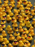The Make-A-Wish Foundation Releases Rubber Ducks into the Ocean Photographic Print