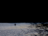 A Man Rows His Scull on Carnegie Lake Photographic Print