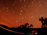 Four Leonid Meteors are Seen Streaking Through the Sky Over Joshua Tree National Park, Calif. Photographic Print