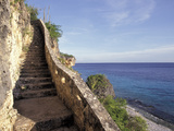 1,000 Steps Limestone Stairway in Cliff, Bonaire, Caribbean Photographic Print by Greg Johnston